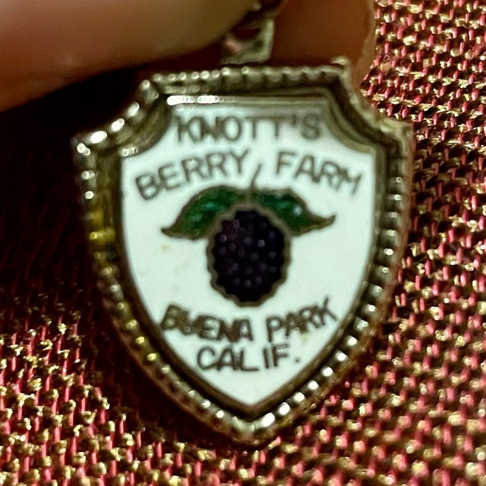 Vintage 70’s Knott’s Berry Farm Beuna Calif. Enamel Silvertone Charm 4 Bracelet